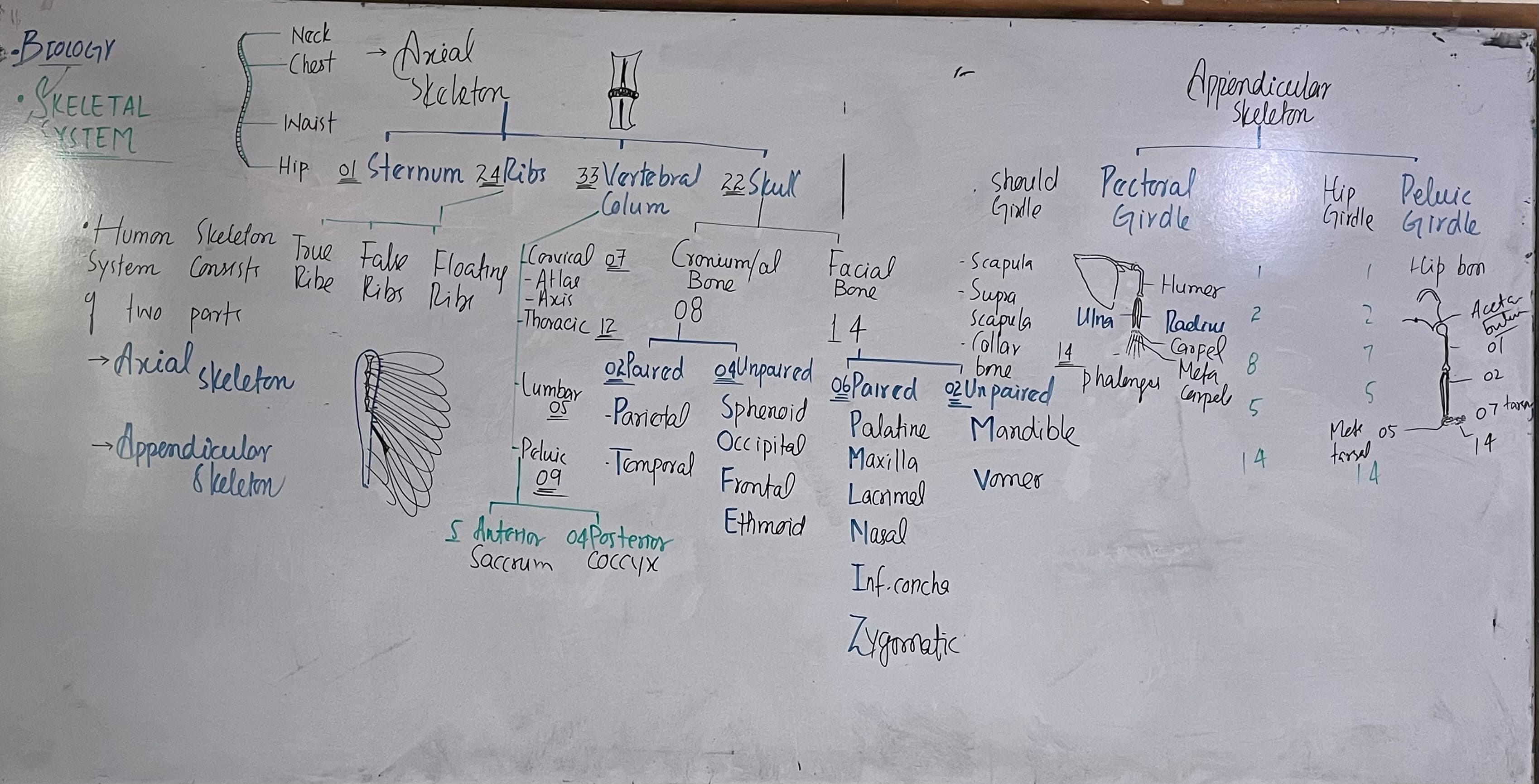 Abrar Azhar Biology teaching gallery image 1
