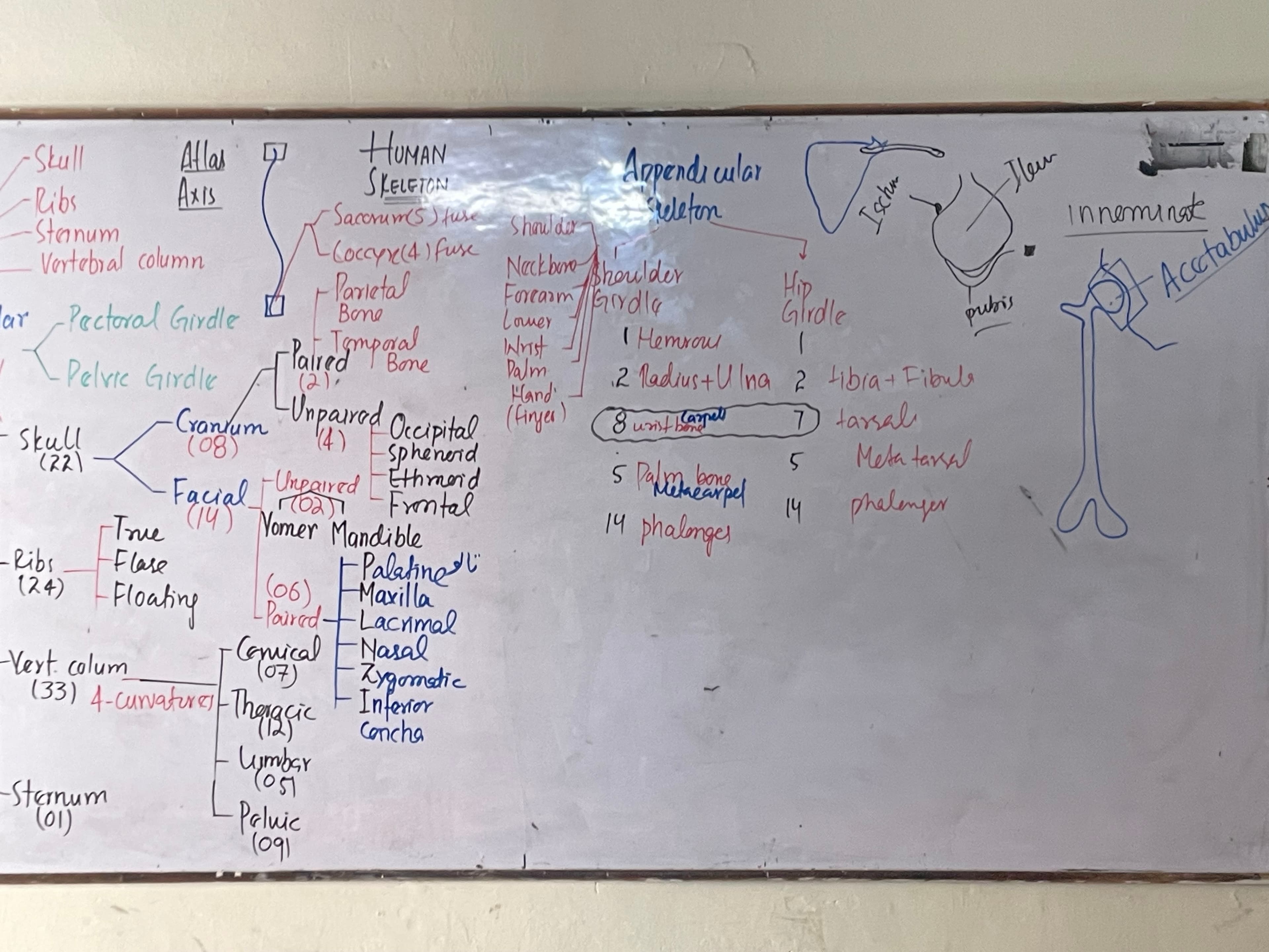 Abrar Azhar Biology teaching gallery image 3