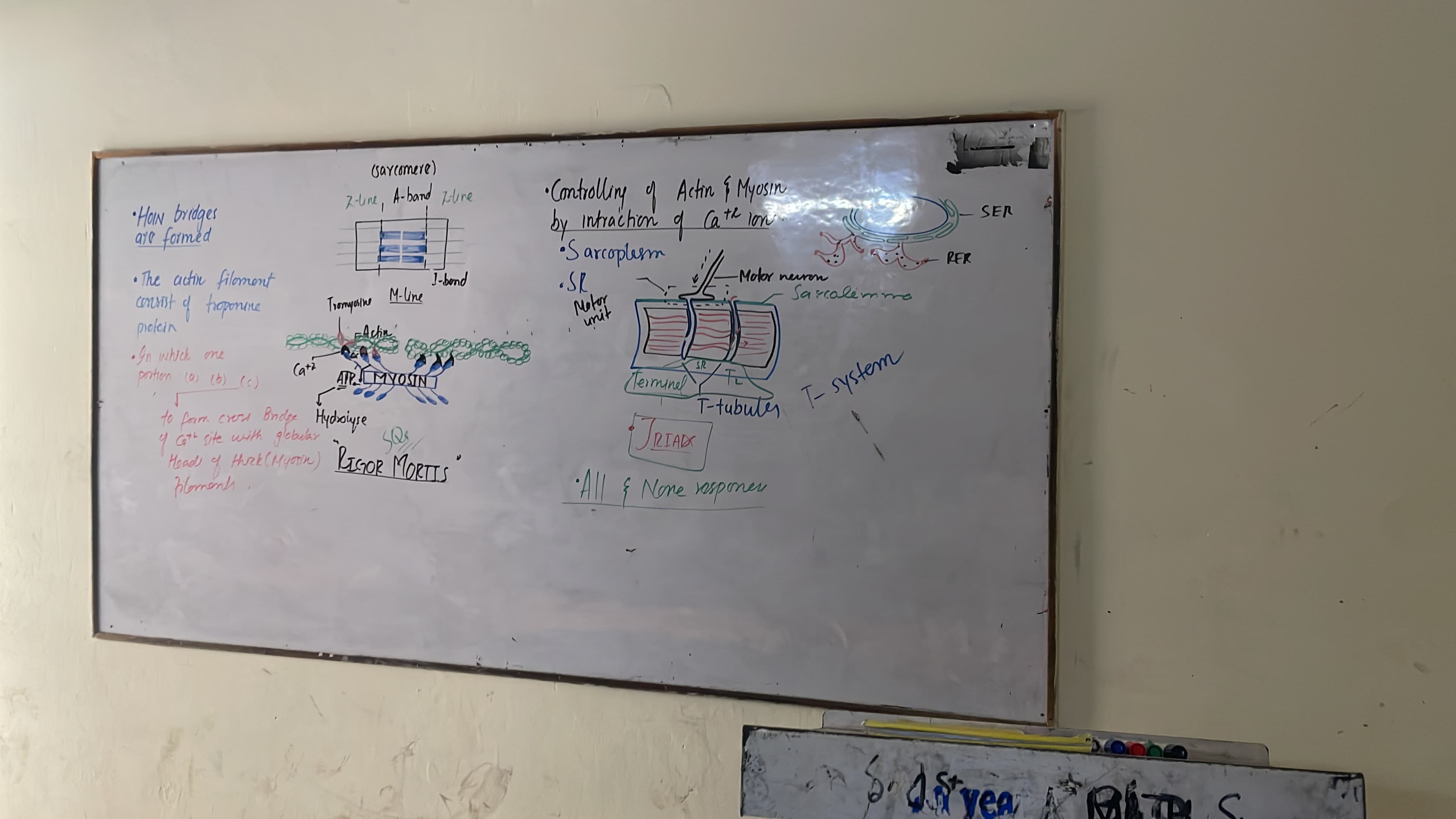 Abrar Azhar Biology teaching gallery image 4