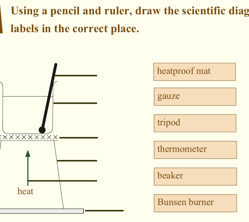 Ayesha Computer Science teaching gallery image 9
