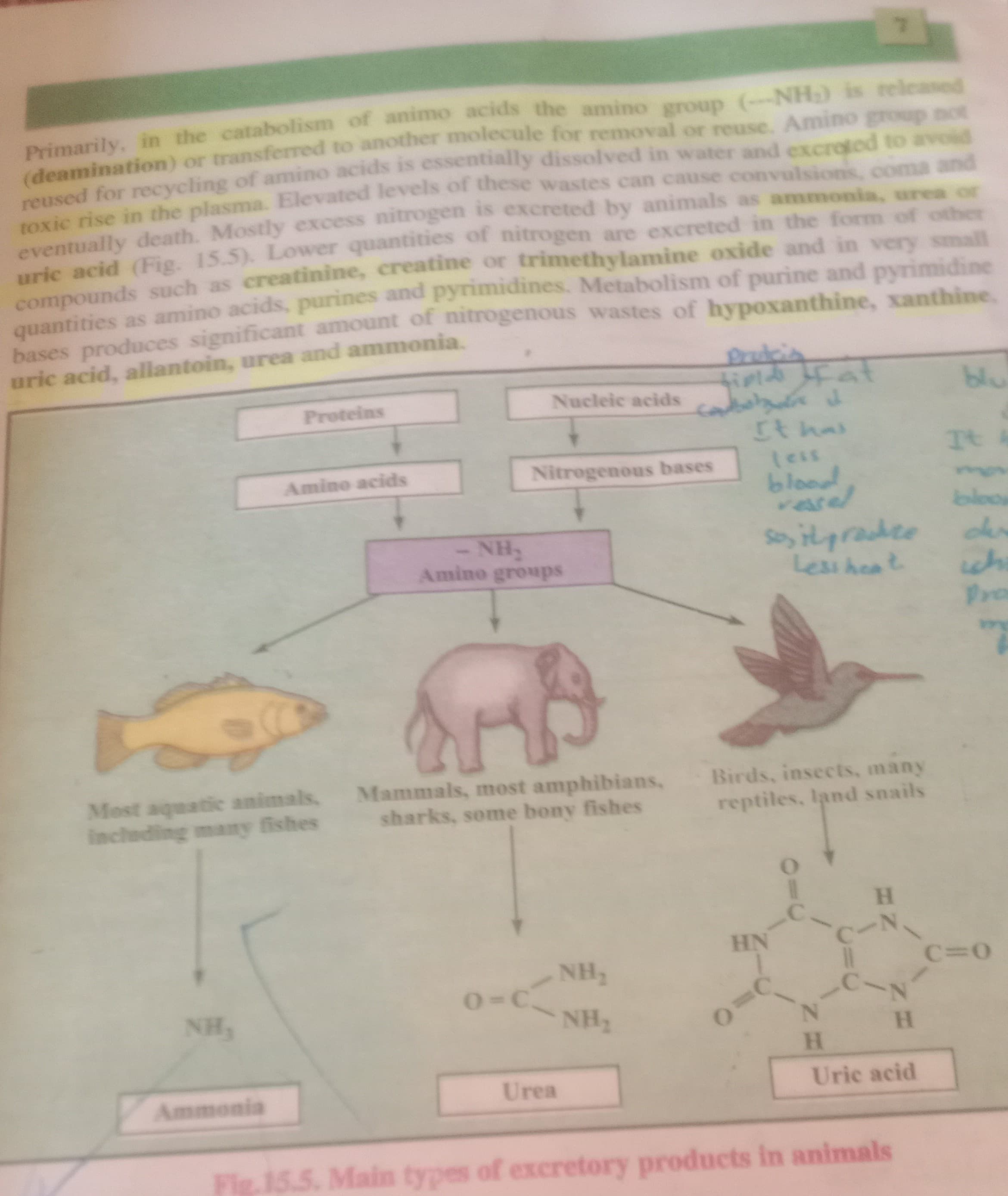 Biology, chemistry, Islamic study, Pak study Tutor in Multan | Online… — teaching image 1