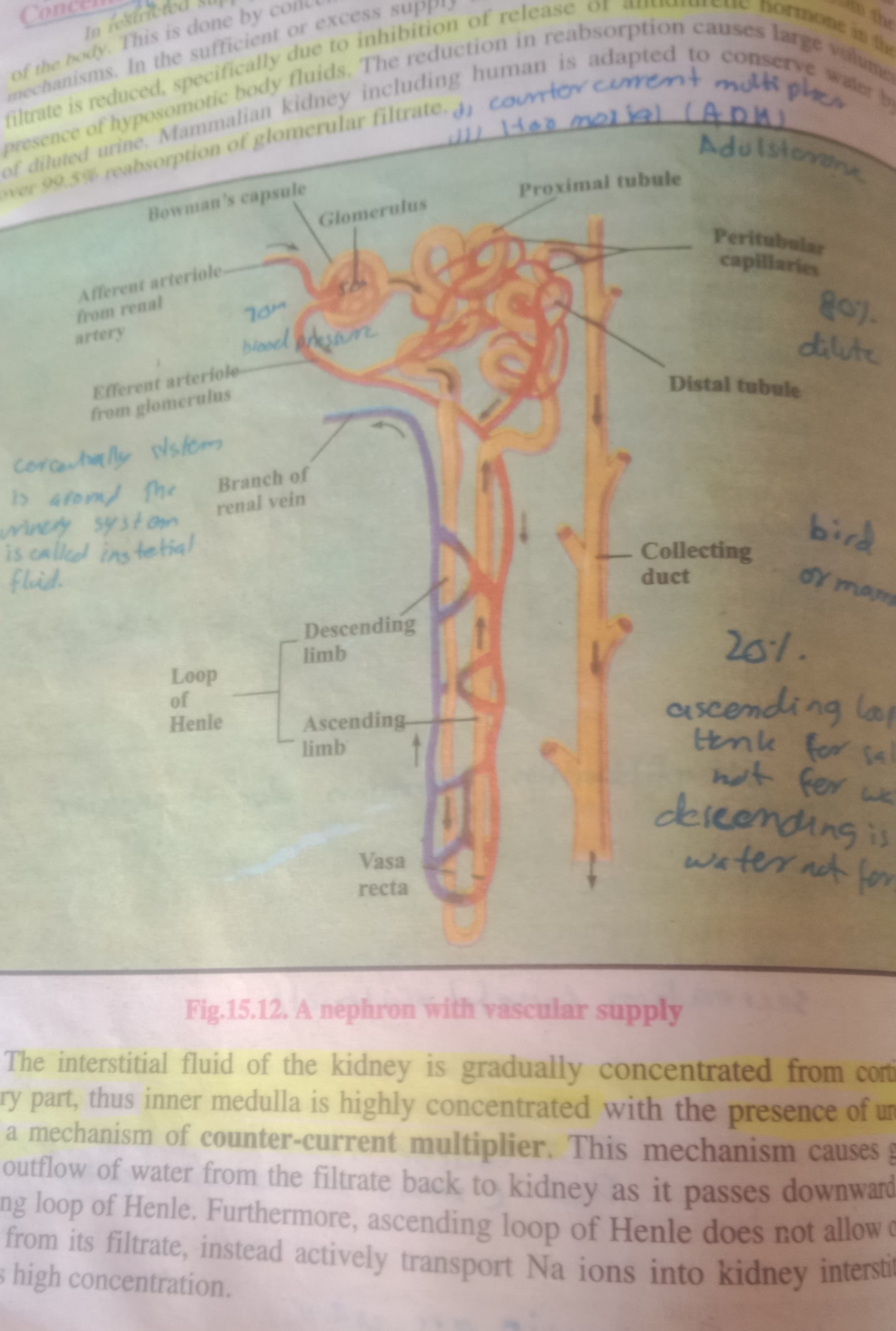 Biology, chemistry, Islamic study, Pak study Tutor in Multan | Online… — teaching image 2