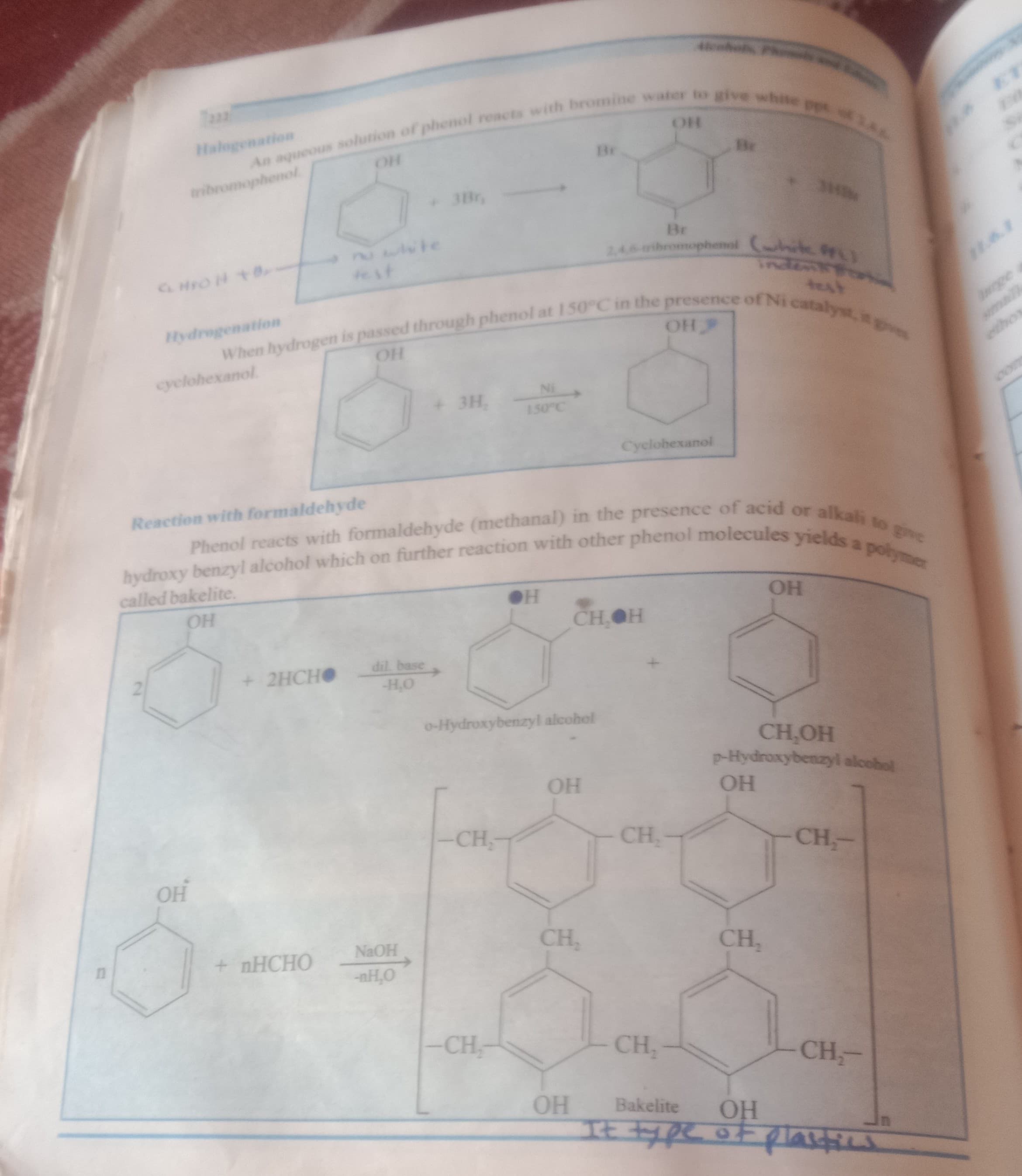 Biology, chemistry, Islamic study, Pak study Tutor in Multan | Online… — teaching image 3