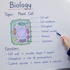 Subject Tutor in Gujranwala | Online & Home | Fatima Eman — teaching image 1