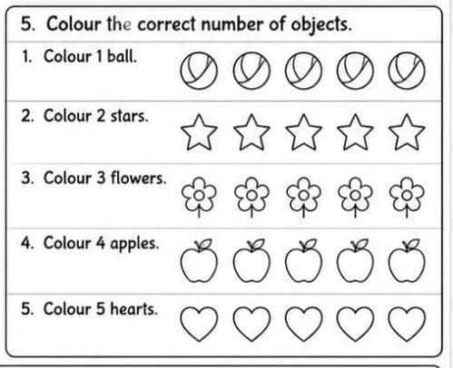 Subject Tutor in Pakistan | Online & Home | Tutor — teaching image 10