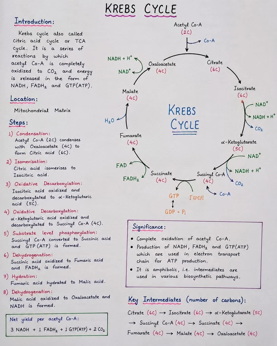 Subject Tutor in Pakistan | Online & Home | Tutor — teaching image 8