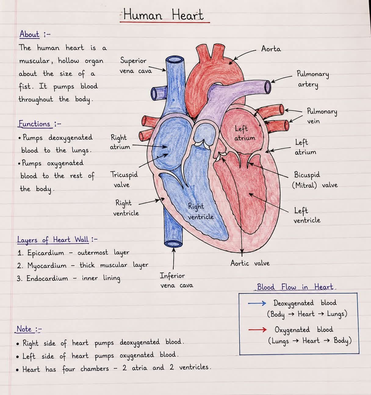 Subject Tutor in Pakistan | Online & Home | Tutor — teaching image 11