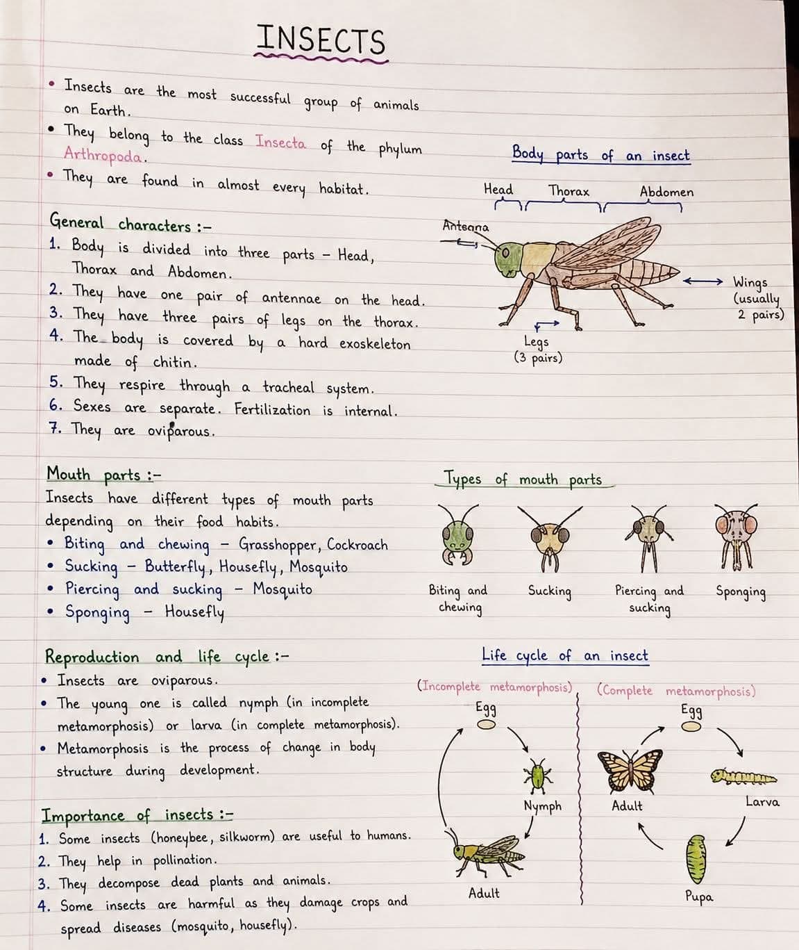 Subject Tutor in Pakistan | Online & Home | Tutor — teaching image 12