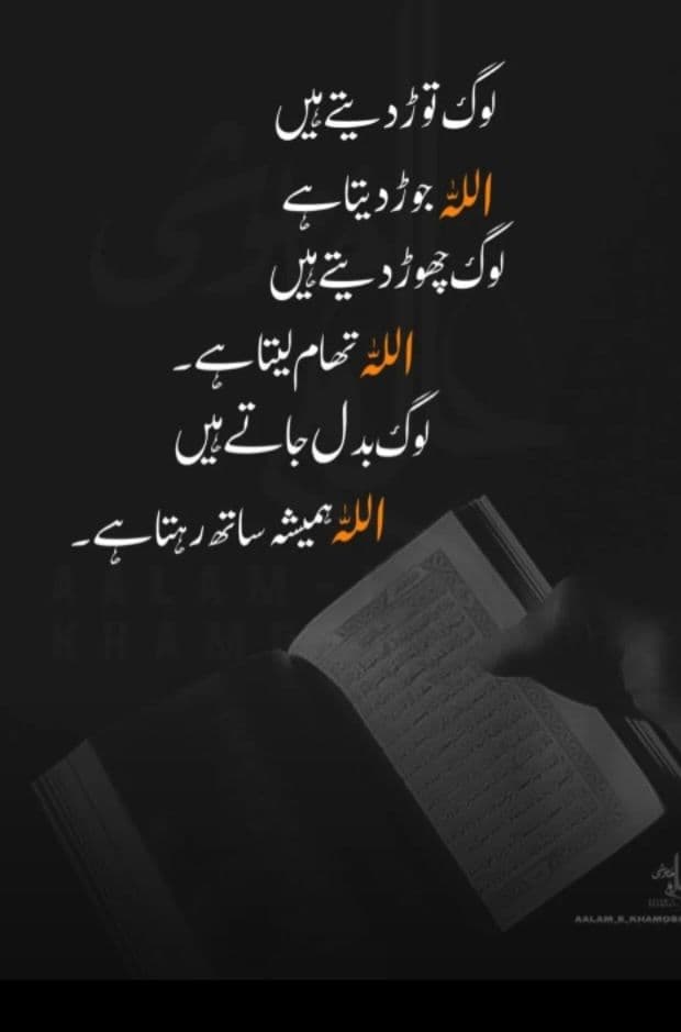 Subject Tutor in Pakistan | Online & Home | Tutor — teaching image 4