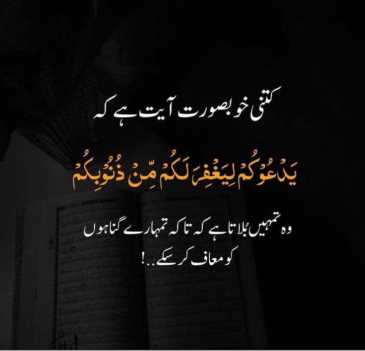 Subject Tutor in Pakistan | Online & Home | Tutor — teaching image 5